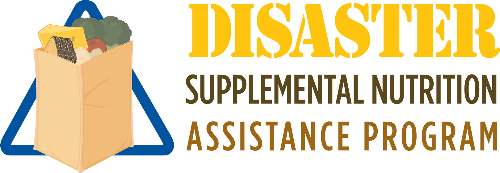 Disaster Supplemental Nutrition Assistance Program DSNAP