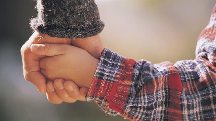 a child holding an adult's hand
